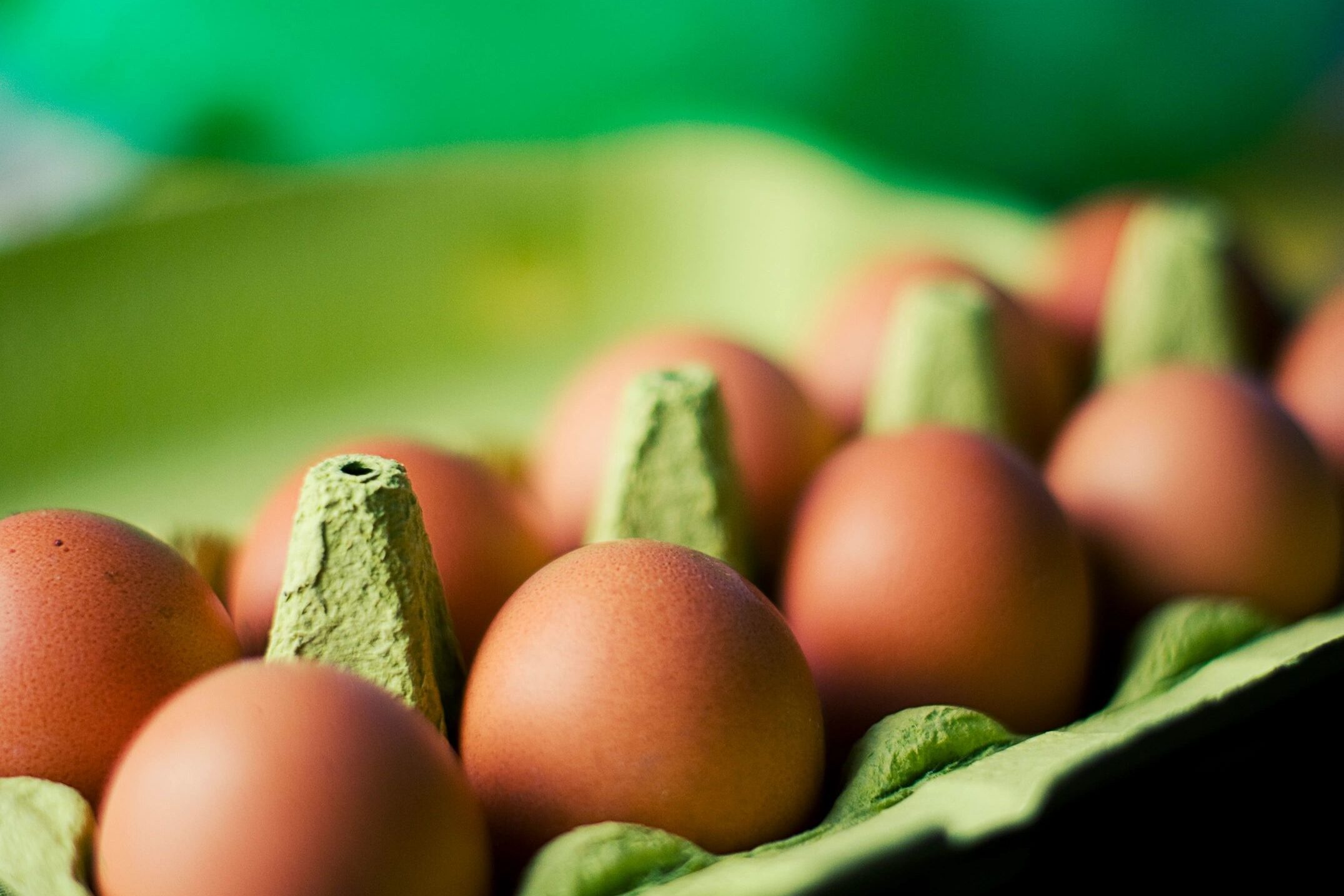 foods that build muscle mass