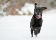 Keeping fit in winter