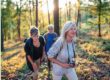 walking for brain health after 50